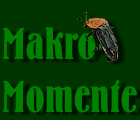 Makro-Momente